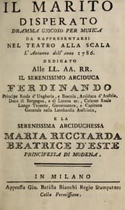 Tapa de Il marito disperato
