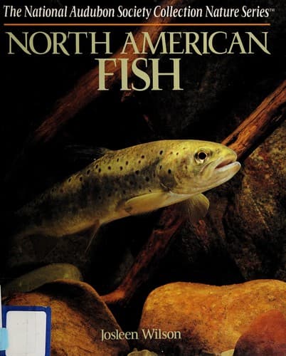 Tapa de North American fish