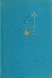 Tapa de The wish at the top