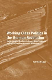 Tapa de Working-Class Politics in the German Revolution