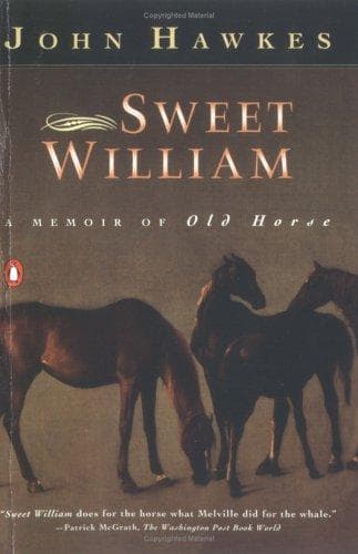 Tapa de Sweet William