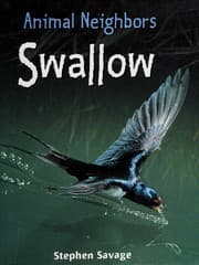 Tapa de Swallow