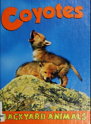 Tapa de Coyotes