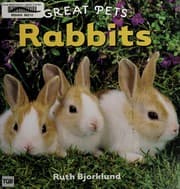 Tapa de Rabbits