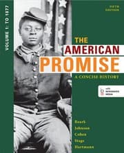 Tapa de The American Promise : A Concise History, Volume 1
