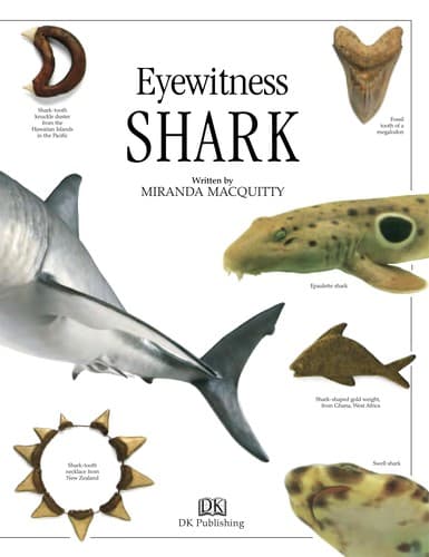 Tapa de Shark