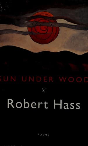 Tapa de Sun under wood