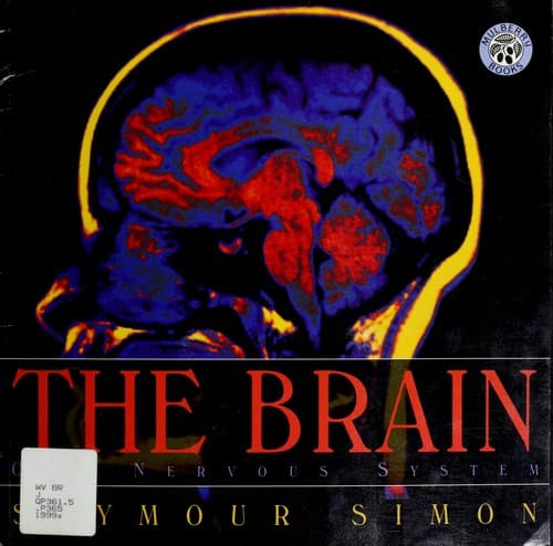 Tapa de The brain
