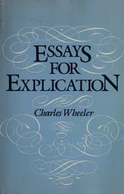 Tapa de Essays for explication