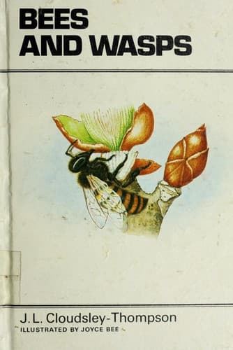 Tapa de Bees & wasps