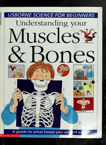 Tapa de Understanding your muscles & bones