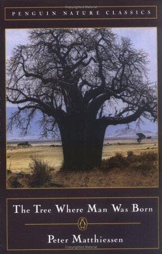 Tapa de The tree where man was born