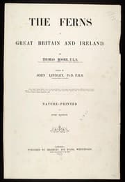 Tapa de The ferns of Great Britain and Ireland