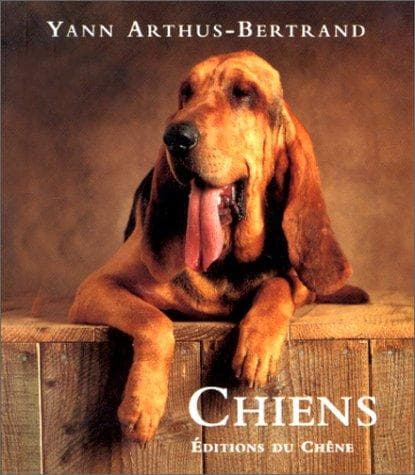 Tapa de Chiens