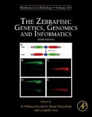 Tapa de The zebrafish