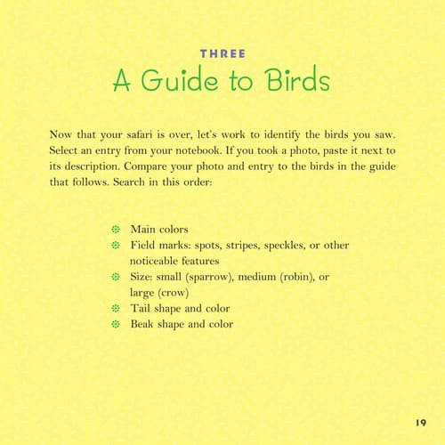 Tapa de Birds