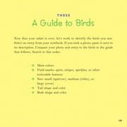 Tapa de Birds