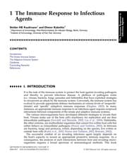 Tapa de Immunology of infection