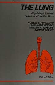 Tapa de The Lung