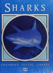 Tapa de Sharks
