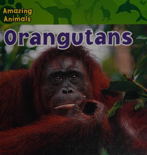 Tapa de Orangutans