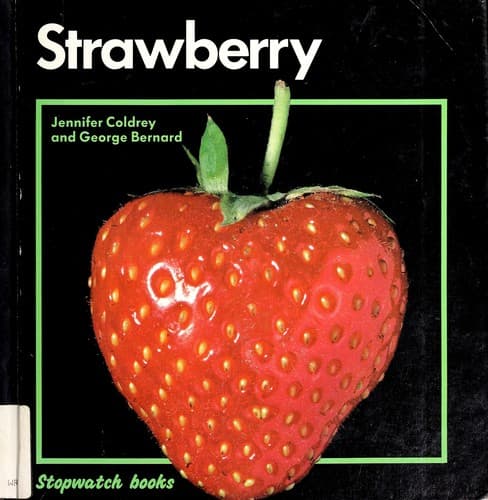 Tapa de Strawberry