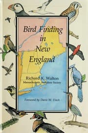 Tapa de Bird finding in New England