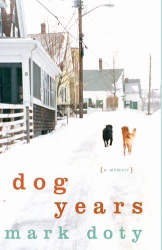 Tapa de Dog Years