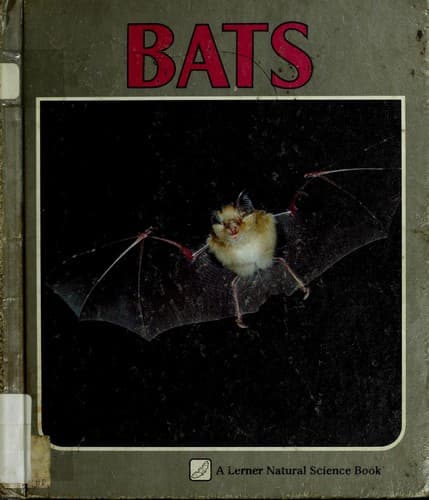 Tapa de Bats