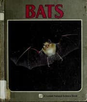 Tapa de Bats