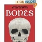 Tapa de Bones