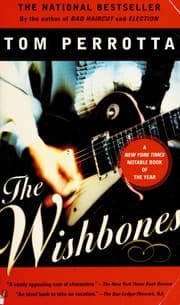 Tapa de The wishbones