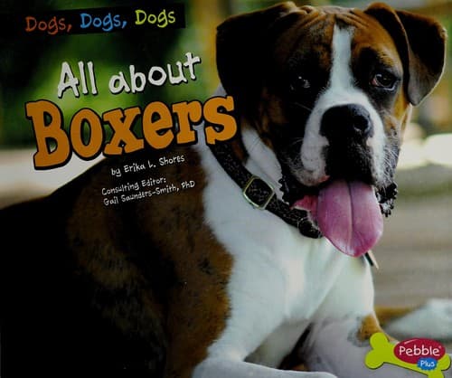 Tapa de All about boxers