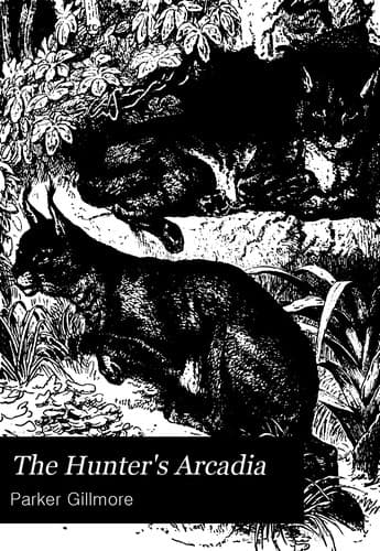 Tapa de The hunter's Arcadia
