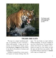 Tapa de Tigers