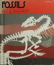 Tapa de Fossils