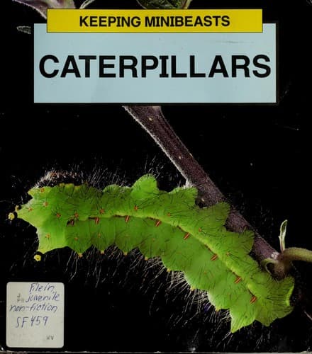 Tapa de Caterpillars (Keeping Minibeasts)