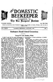 Tapa de Domestic Beekeeper