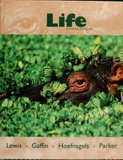 Tapa de Life