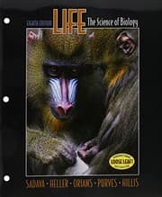 Tapa de Life  & CD-ROM