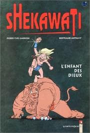 Tapa de Shekawati
