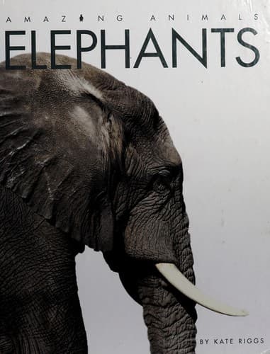 Tapa de Elephants
