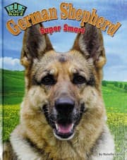 Tapa de German shepherd