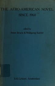 Tapa de The Afro-American novel since 1960