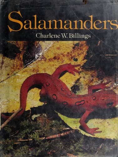 Tapa de Salamanders