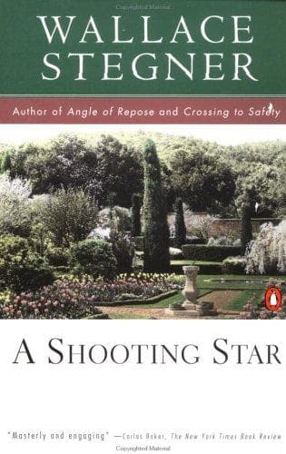 Tapa de A shooting star
