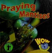 Tapa de Praying mantis