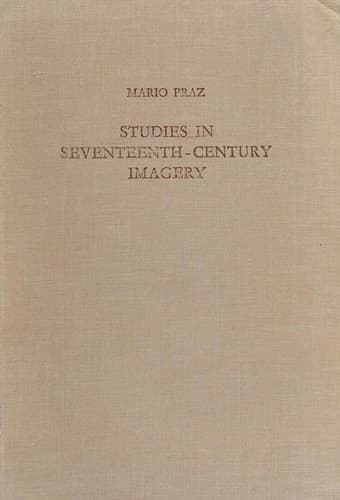 Tapa de Studi sul concettismo