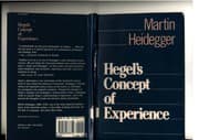 Tapa de Hegels Begriff der Erfahrung