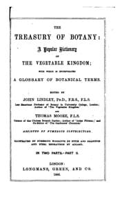 Tapa de The treasury of botany